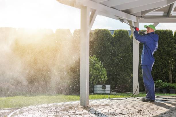 Best Dumpster Area Cleaning  in Springfield, SD