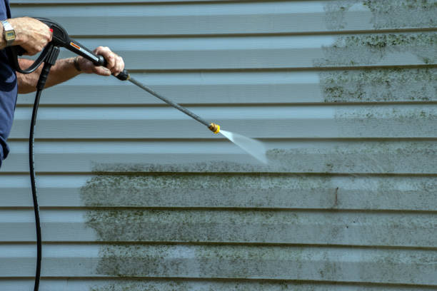 Best House Exterior Washing  in Springfield, SD