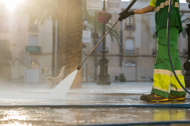 Best Sidewalk and Walkway Cleaning  in Springfield, SD